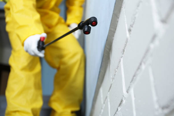 Best Commercial Pest Control  in Southworth, WA